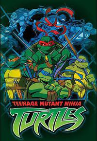 忍者神龟 第一季