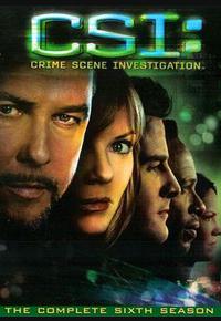 犯罪现场调查 第六季