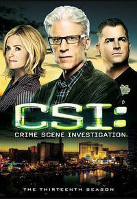 犯罪现场调查 第十三季