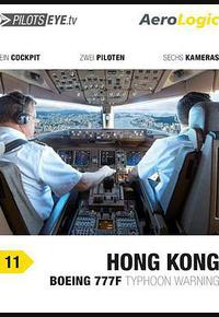 飞行员之眼：香港