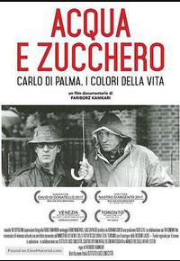 水与糖：摄影家卡洛·迪·帕尔马的生活与色彩