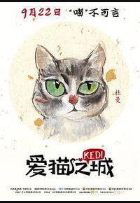 爱猫之城