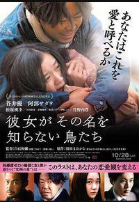 她不知道名字的那些鸟儿