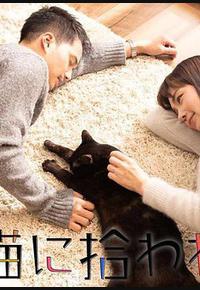 被流浪猫捡到的男人