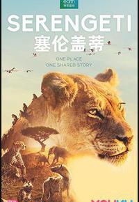 塞伦盖蒂 第一季