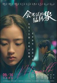 会考试的猛犸象