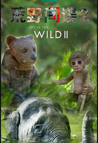 荒野间谍 第二季