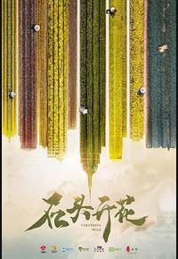 石头开花