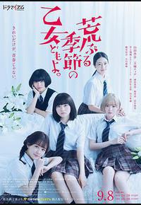 骚动时节的少女们啊