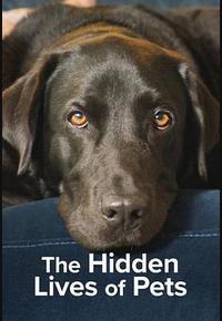 宠物的秘密生活