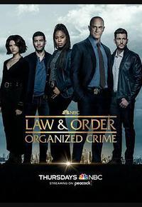 法律与秩序：组织犯罪 第三季