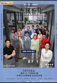 许你春风野马 许你春风野马