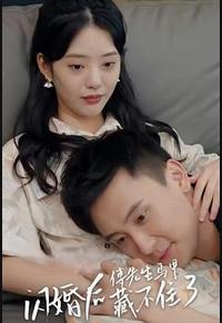 闪婚后傅先生马甲藏不住了