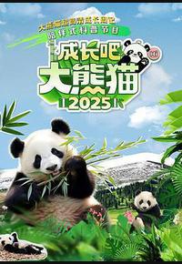 成长吧！大熊猫2025