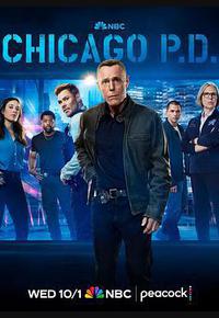 芝加哥警署 第十三季