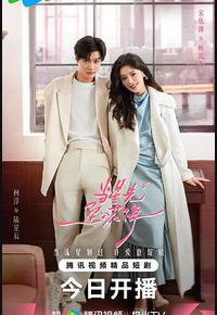 当星光坠入花海