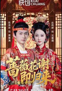 蔷薇花谢即归来