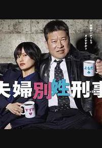 夫妇别姓刑警