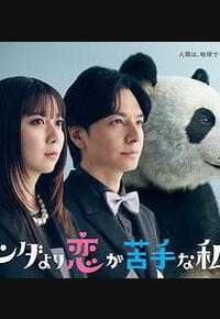 比熊猫更不擅长恋爱的我们